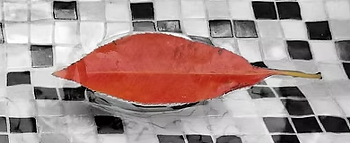 Detail of the red leaf, Fotografare la Commedia by Camilla Caccialanza