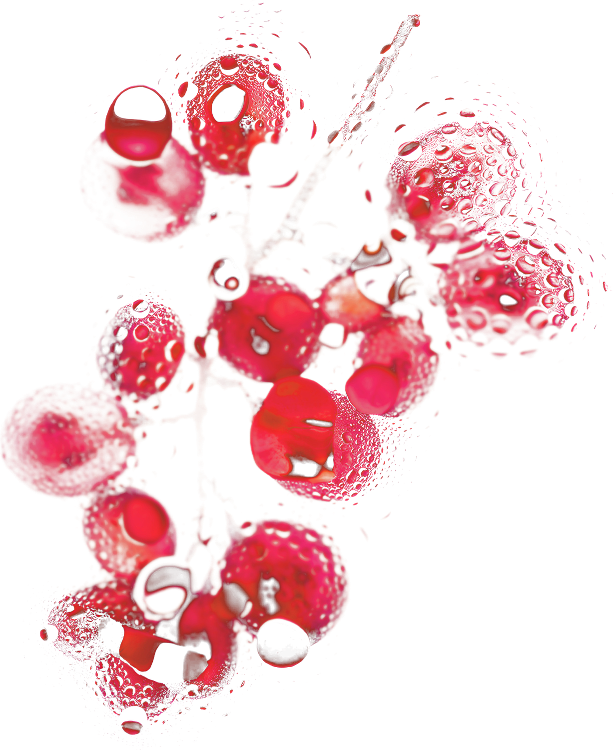 ReIn Catalysta visual identity, red droplets, by Camilla Caccialanza